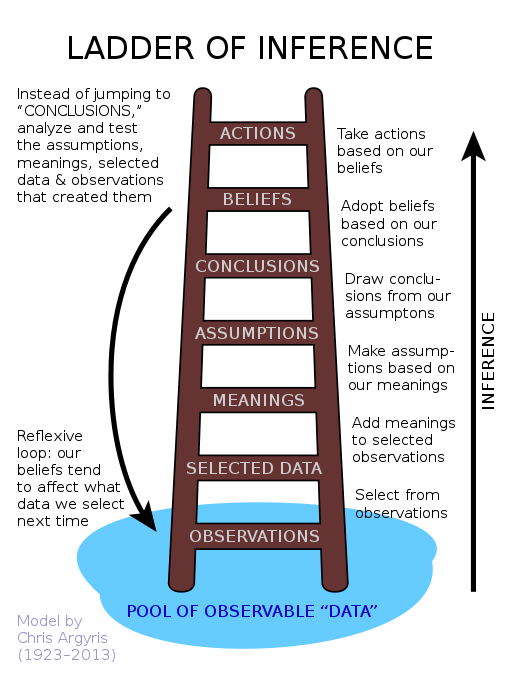 The ladder of inference