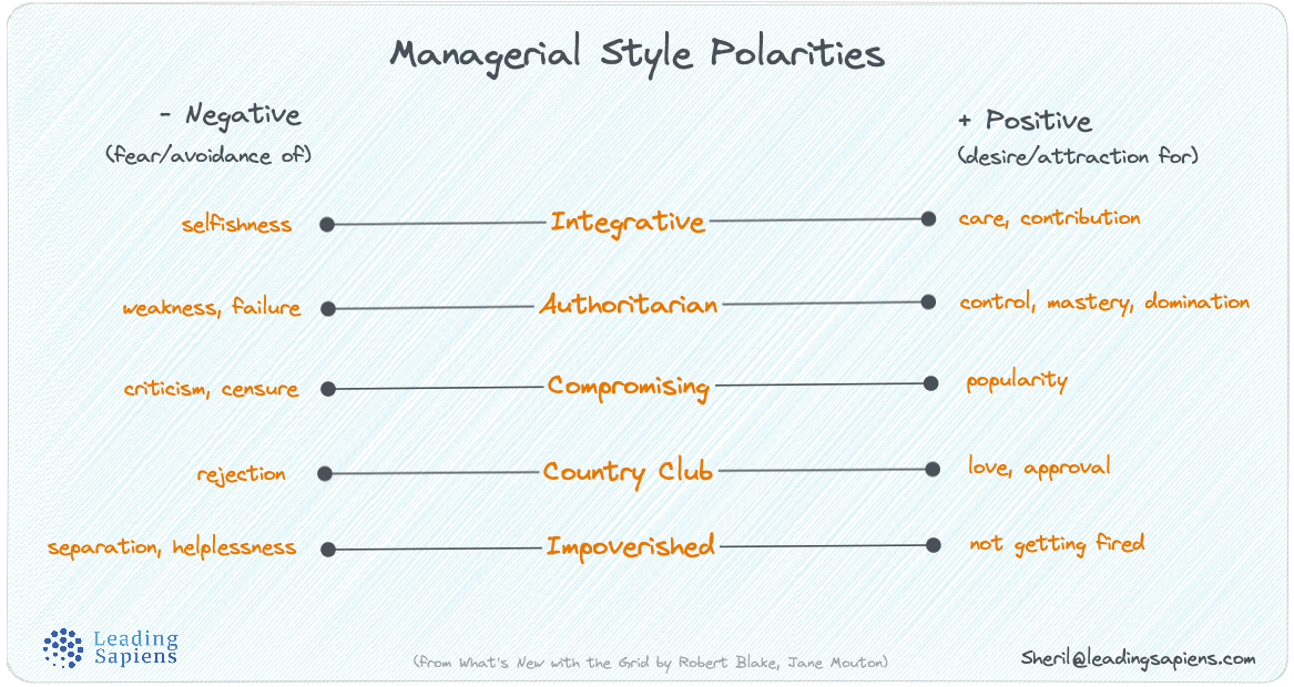 Polarities of the five leadership styles in the Blake Mouton leadership grid