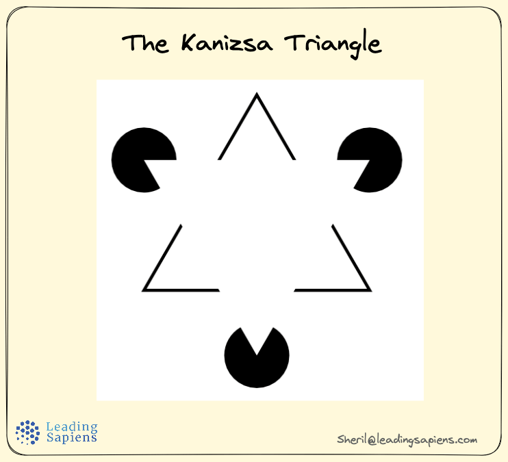 The Kanizsa triangle is an example of soft mental models