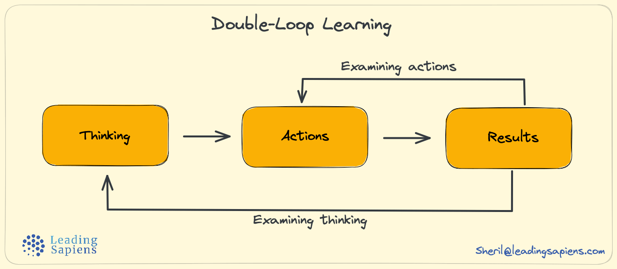 Double-loop learning