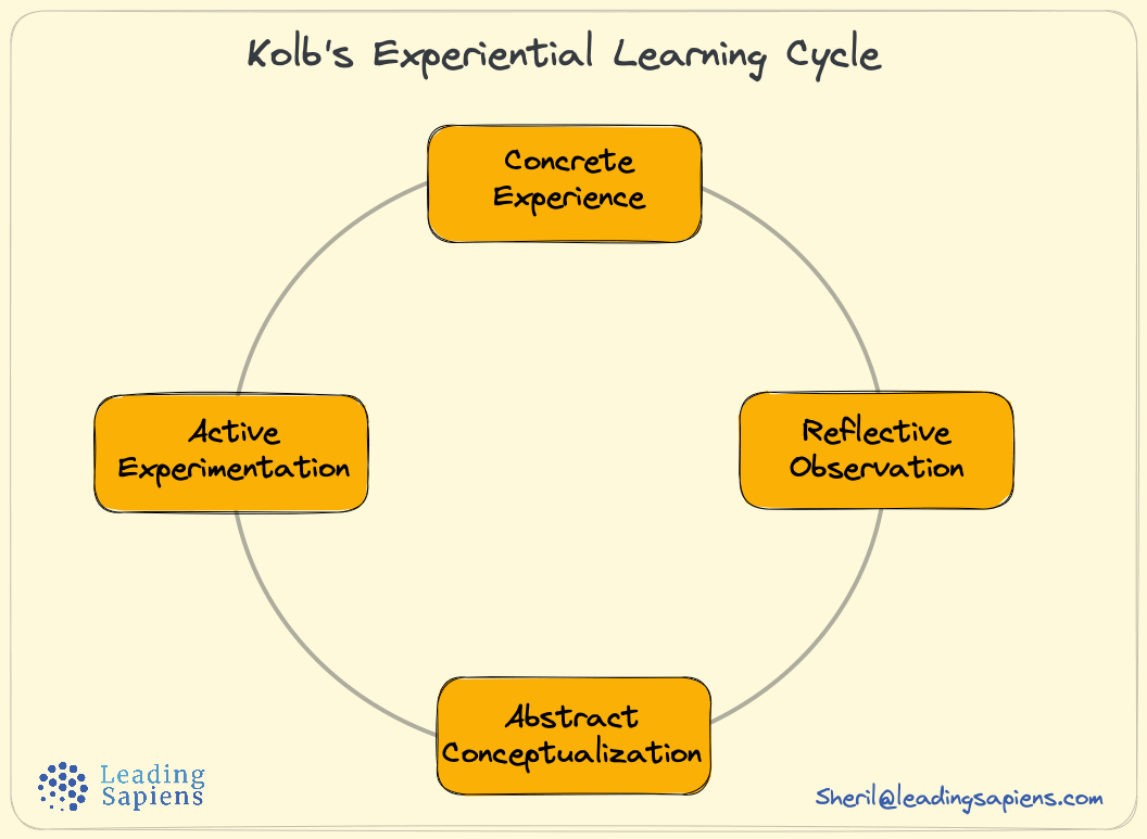 David Kolb’s experiential learning cycle