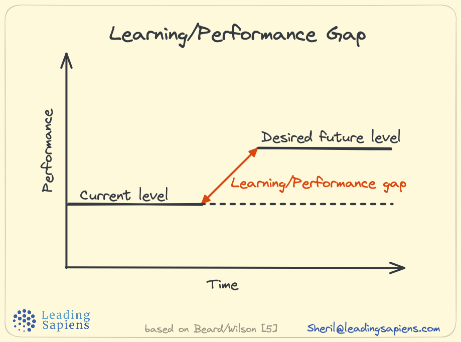 Learning/Performance gap