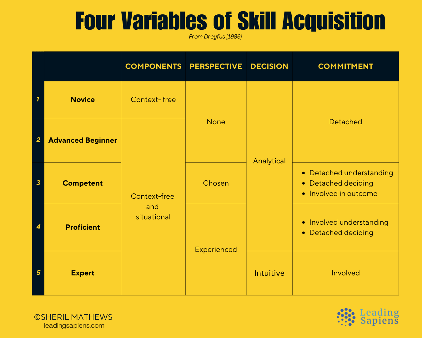 Dreyfus Model of Skill Acquisition- Variables