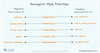 Blake Mouton Leadership Grid with the five leadership styles and their polarities