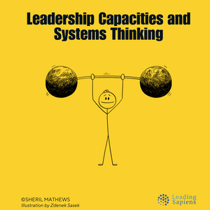 20 Leadership Capacities based on Systems Thinking