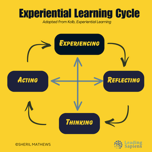 Experiential Learning Cycle