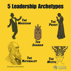 Johari Leadership Archetypes