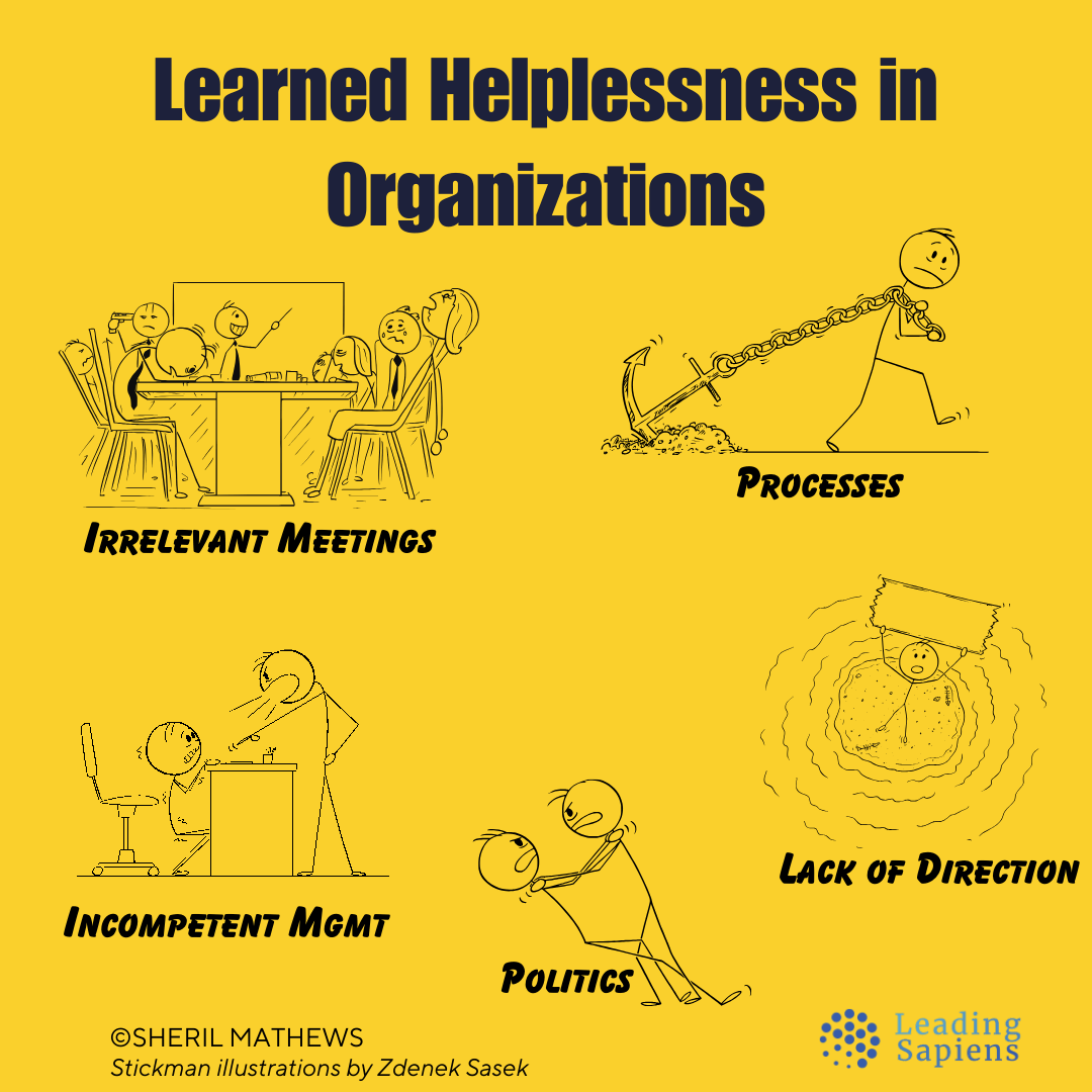 locus-of-control-a-leadership-perspective