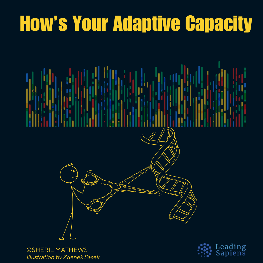 Adaptive Leadership: What It Means and Why It's Essential